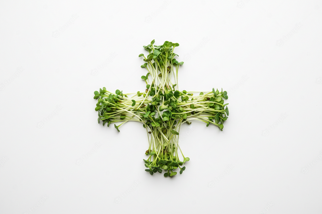 What Are the Benefits of Microgreens