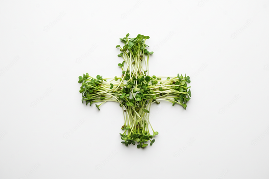 What Are the Benefits of Microgreens