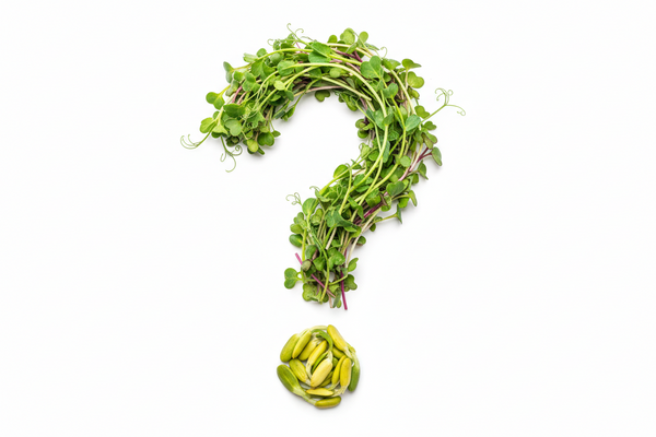 question mark outlined by microgreens on white background